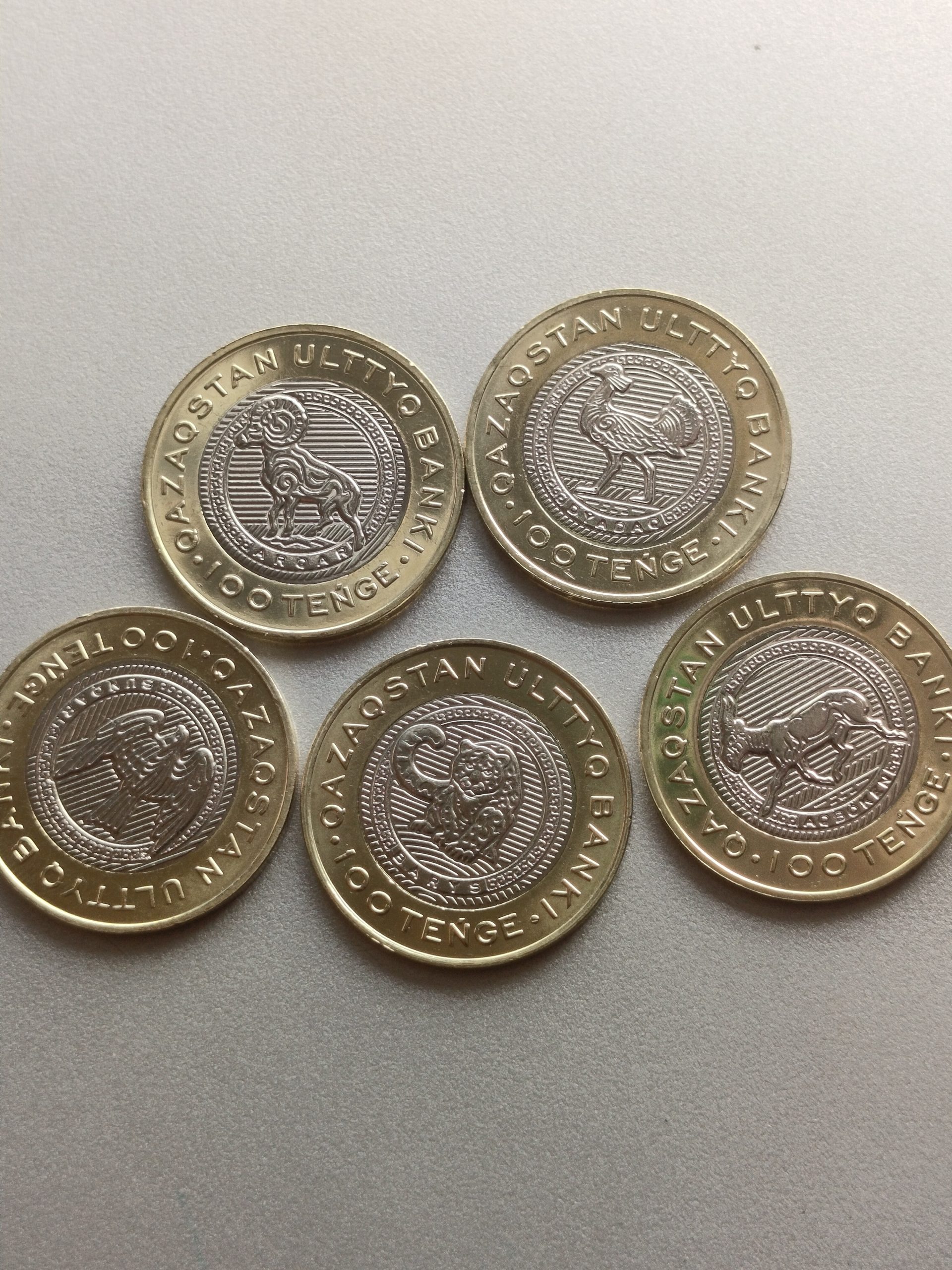 Kazakhstan Coin 100 Tenge