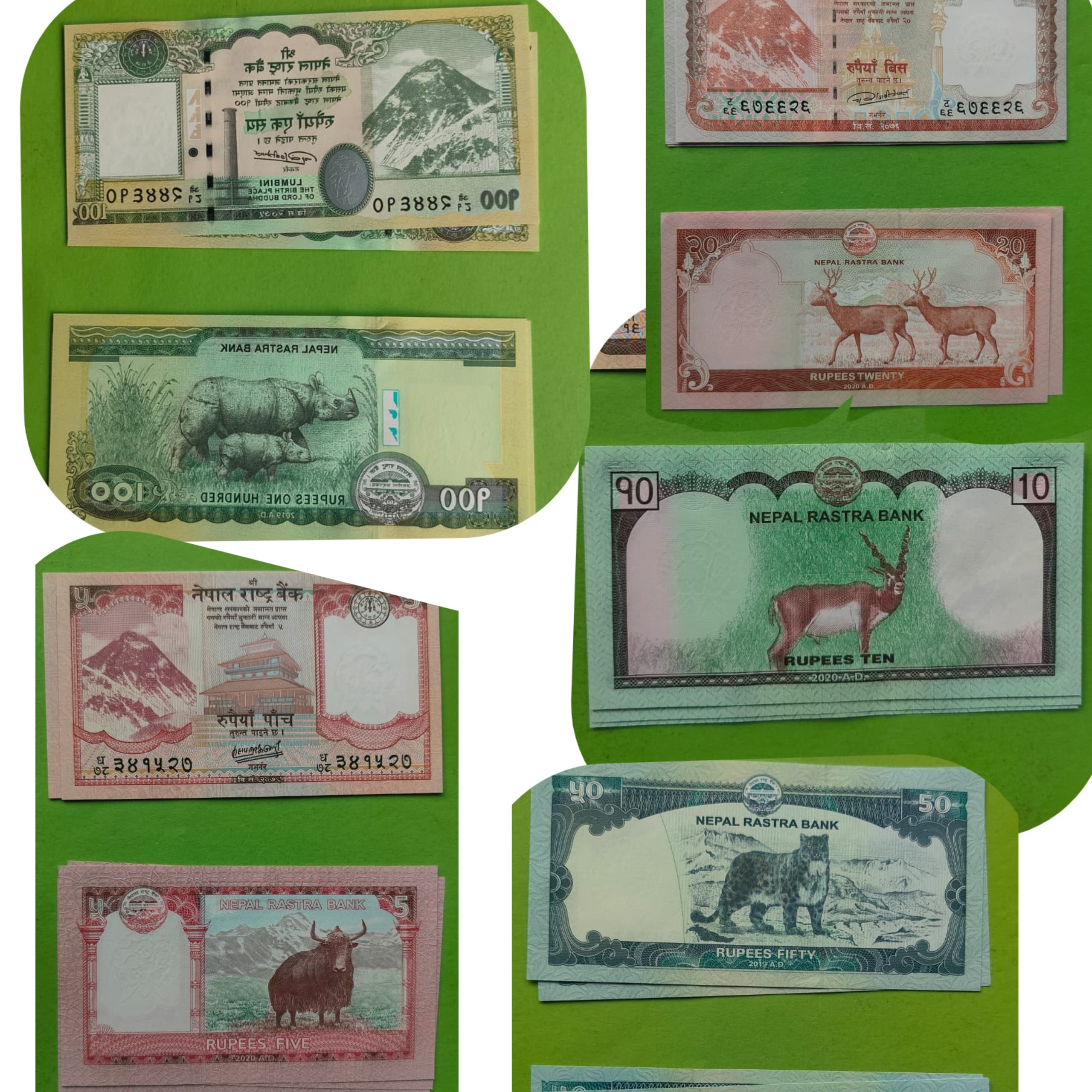 Nepal 5 Pieces Banknote Set